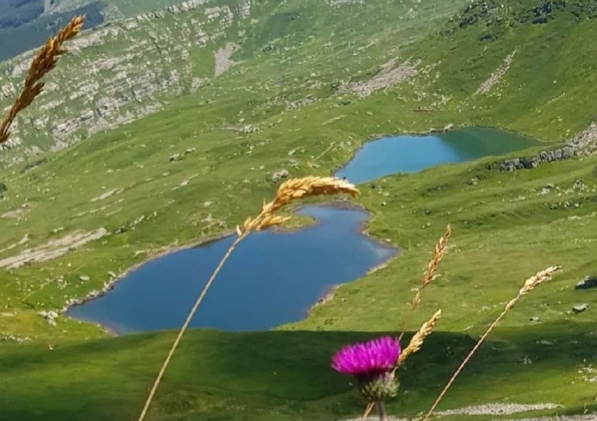 Parco dei Cento Laghi - Laghi del Sillara (PR) - credit @kler_lakler