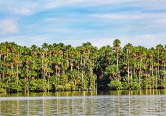 Reserva Nacional de Tambopata.