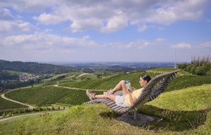 ciclovia-vino-baden-germania-foresta-nera