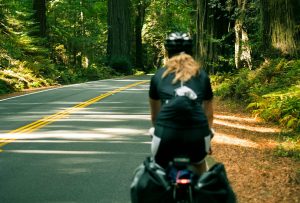 vacanza in bicicletta questa estate