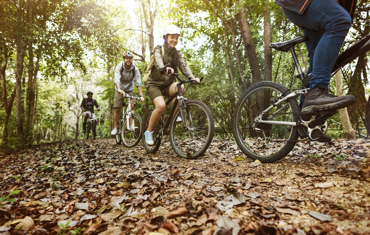 boschi-umbria-bici