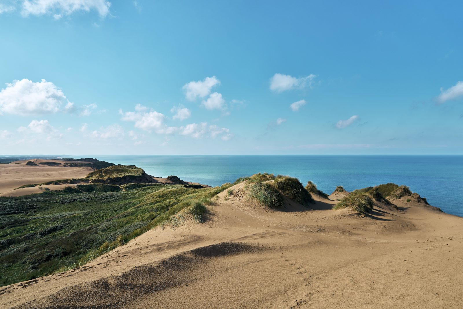 Vista panoramica dalla cima della duna del Råbjerg Mile sullo Jutland Vista panoramica dalla cima della duna del Råbjerg Mile sullo Jutland
