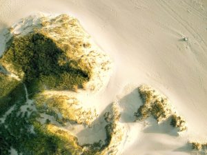 Vasta duna di sabbia bionda del Råbjerg Mile sotto un cielo nordico