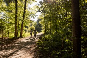 Il Freiämterweg: un anello trekking lento nel cuore della Svizzera che non ti aspetti
