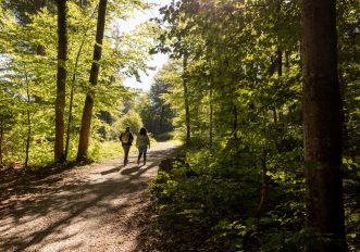 Il Freiämterweg: un anello trekking lento nel cuore della Svizzera che non ti aspetti