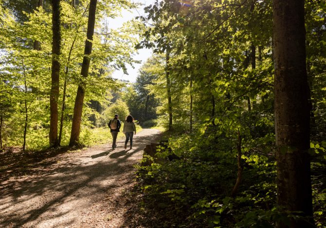 Il Freiämterweg: un anello trekking lento nel cuore della Svizzera che non ti aspetti
