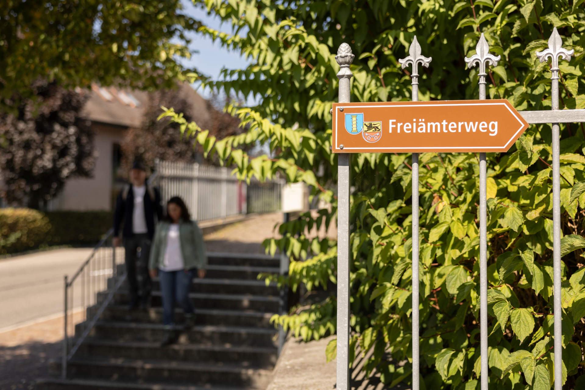 Il Freiämterweg: un anello trekking lento nel cuore della Svizzera che non ti aspetti