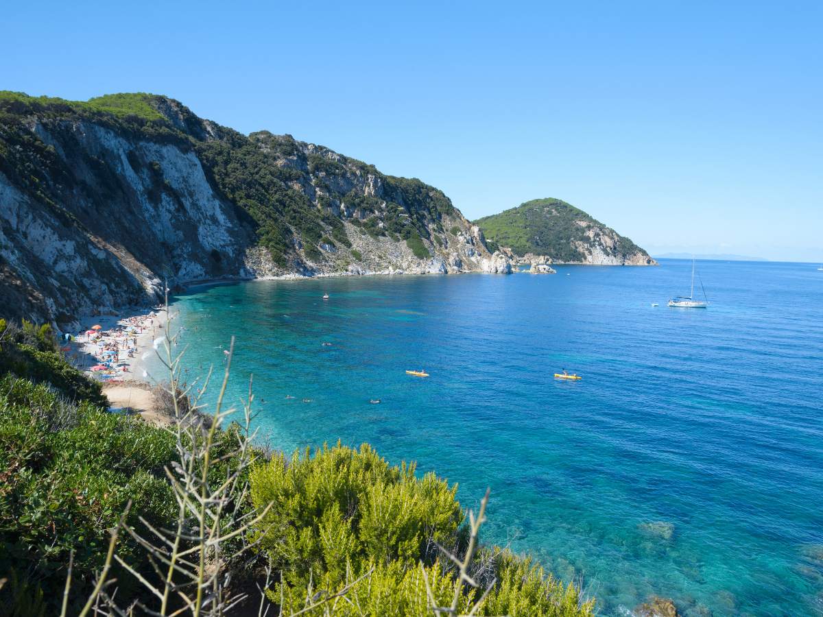 Sansone, Elba
