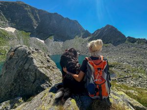 In Valtellina con il cane: dove andare tra fra boschi, laghi e rifugi