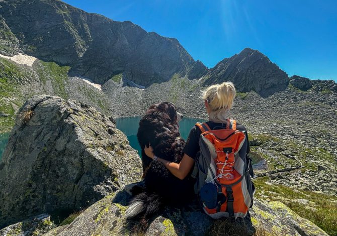 In Valtellina con il cane: dove andare tra fra boschi, laghi e rifugi