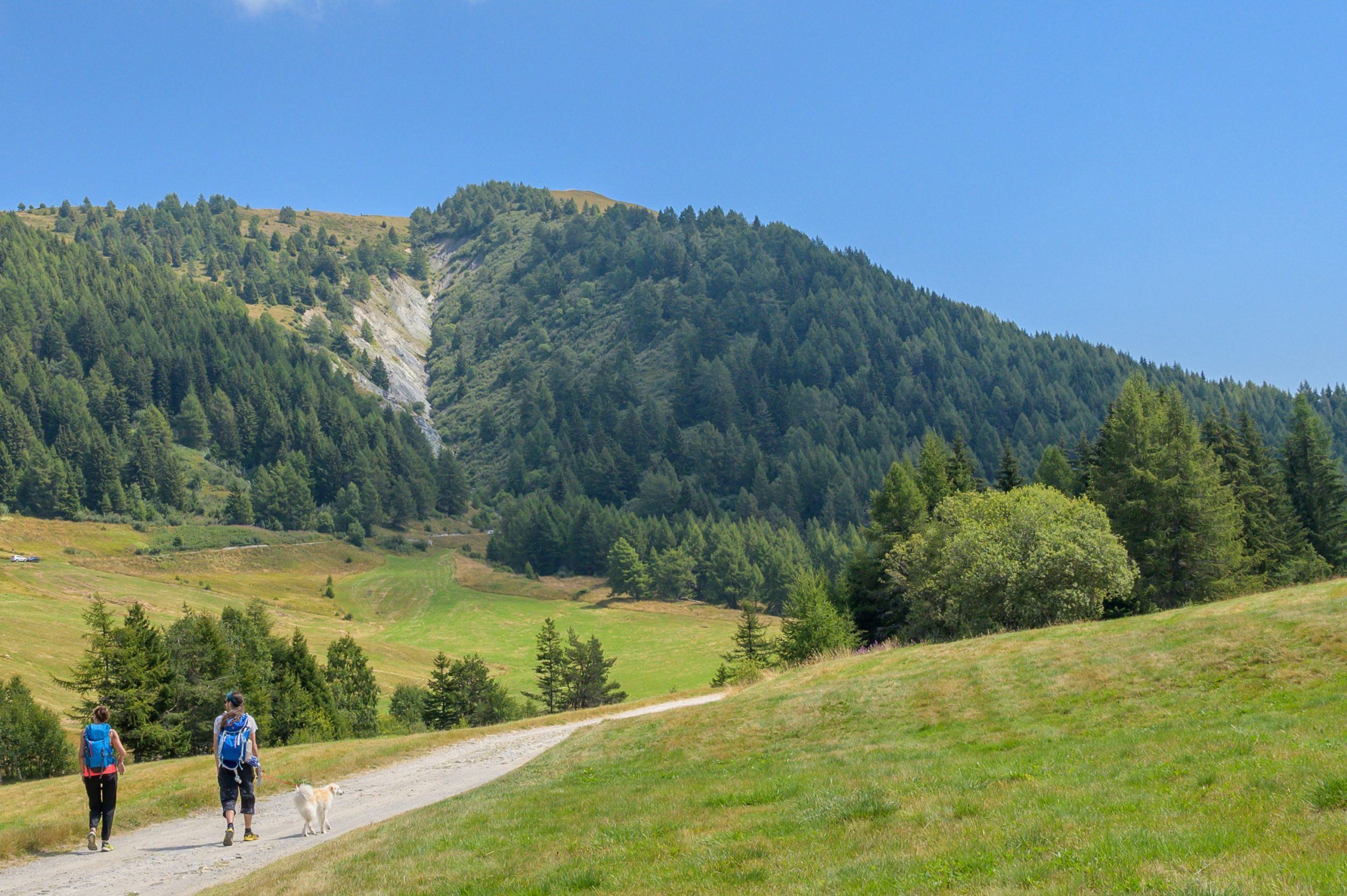 In Valtellina con il cane: dove andare tra fra boschi, laghi e rifugi