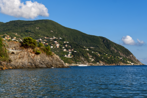 moneglia