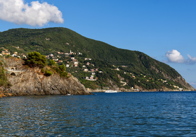 moneglia