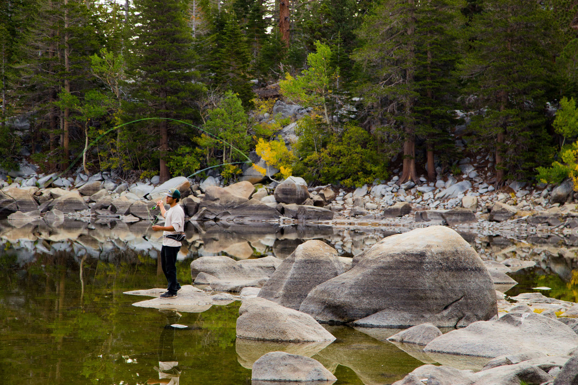 Mammoth Lakes - Eastern Sierra California - folliage