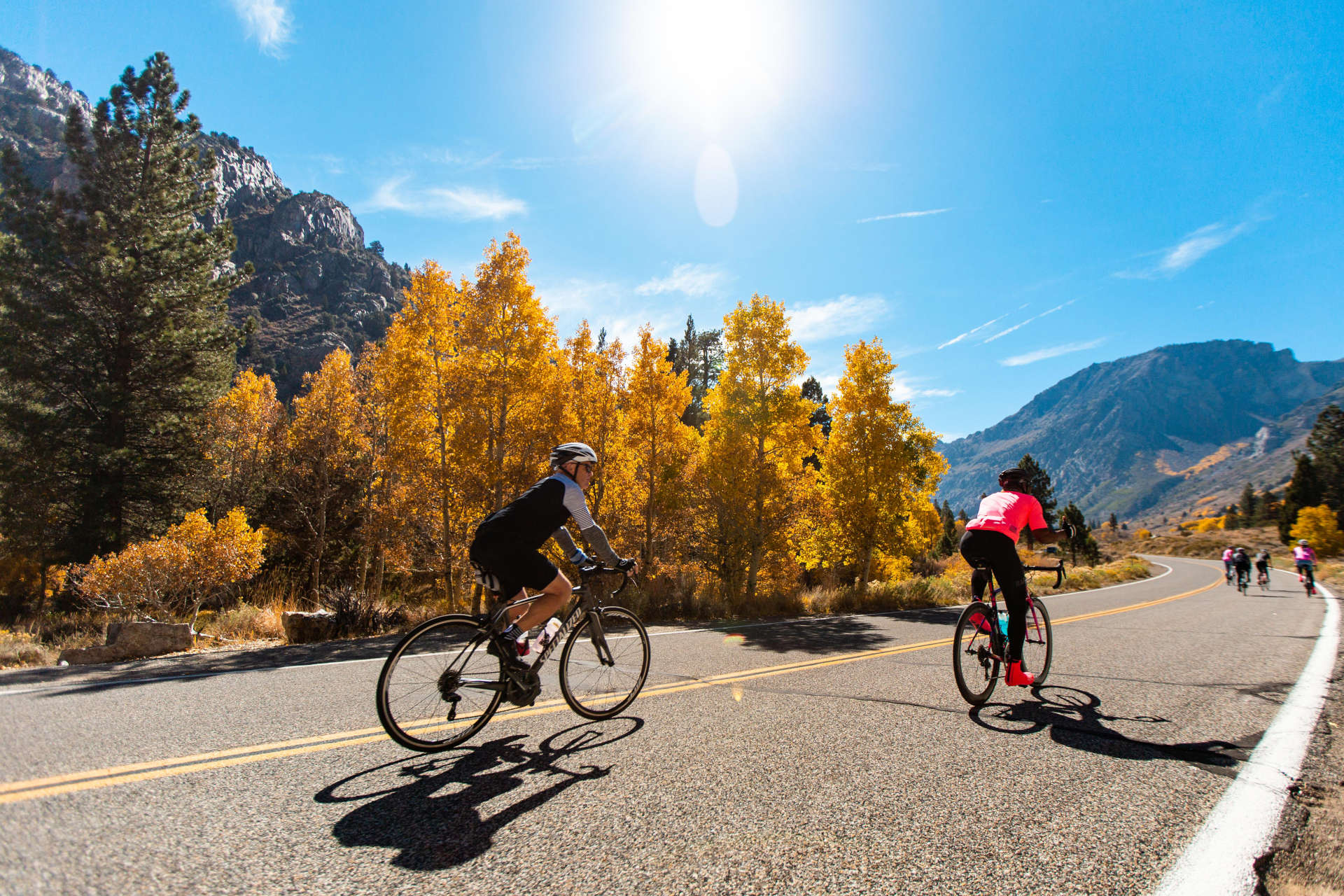 Mammoth Lakes - Eastern Sierra California - folliage