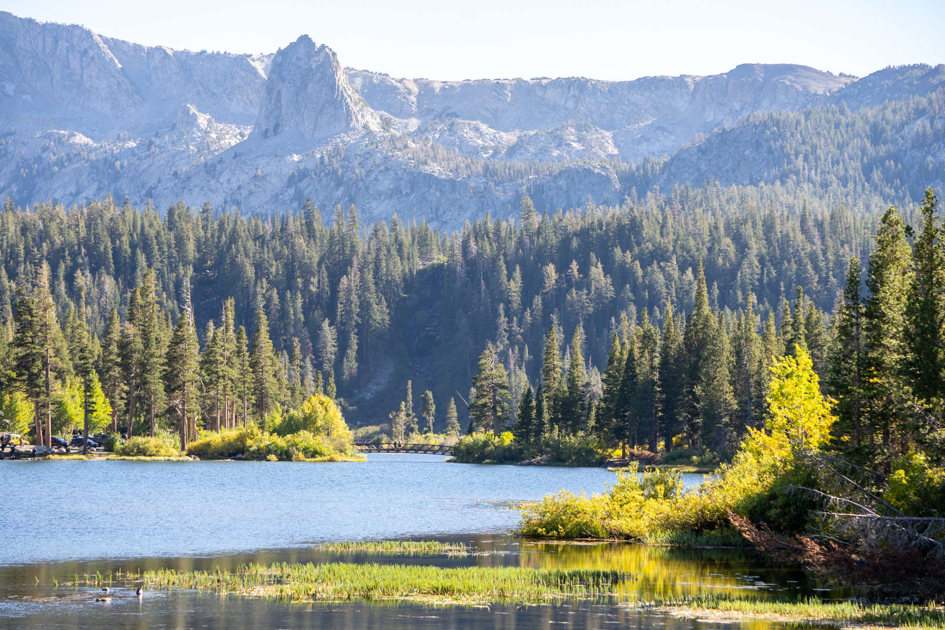 Mammoth Lakes - Eastern Sierra California - folliage