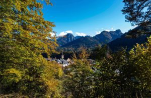 Tarvisio Autunno Foliage