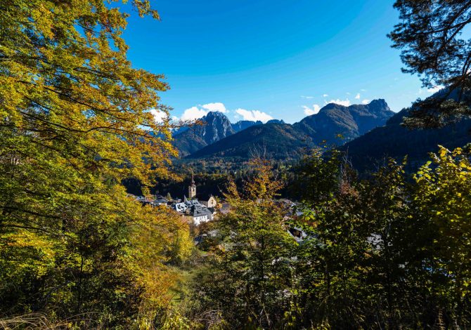 Tarvisio Autunno Foliage