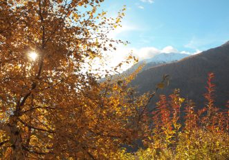 Monte Rosa l'autunno ha già i colori del foliage