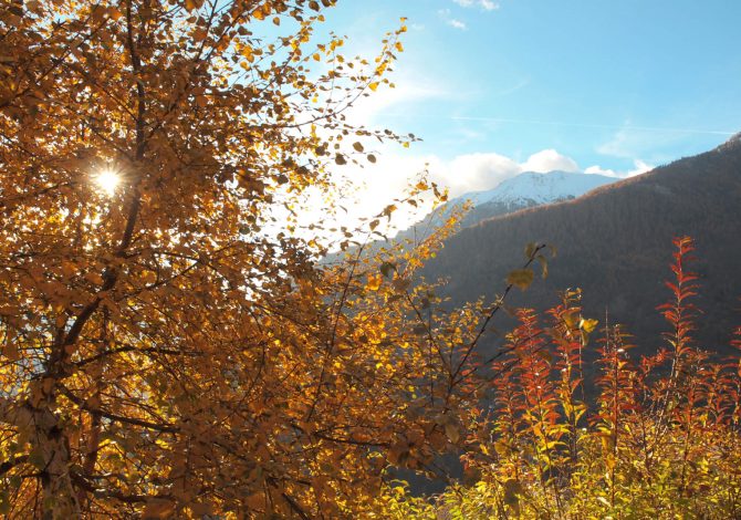 Monte Rosa l'autunno ha già i colori del foliage