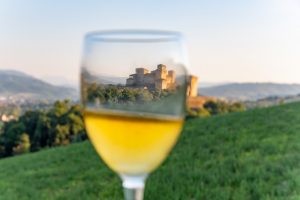 emilia-settembre-vendemmia