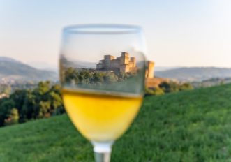 emilia-settembre-vendemmia