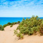 Dune di Piscinas