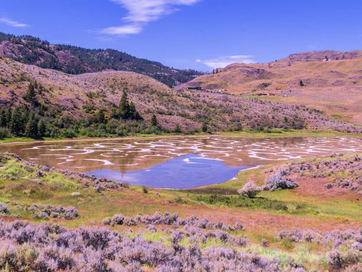 Paesaggio dello Spotted Lake