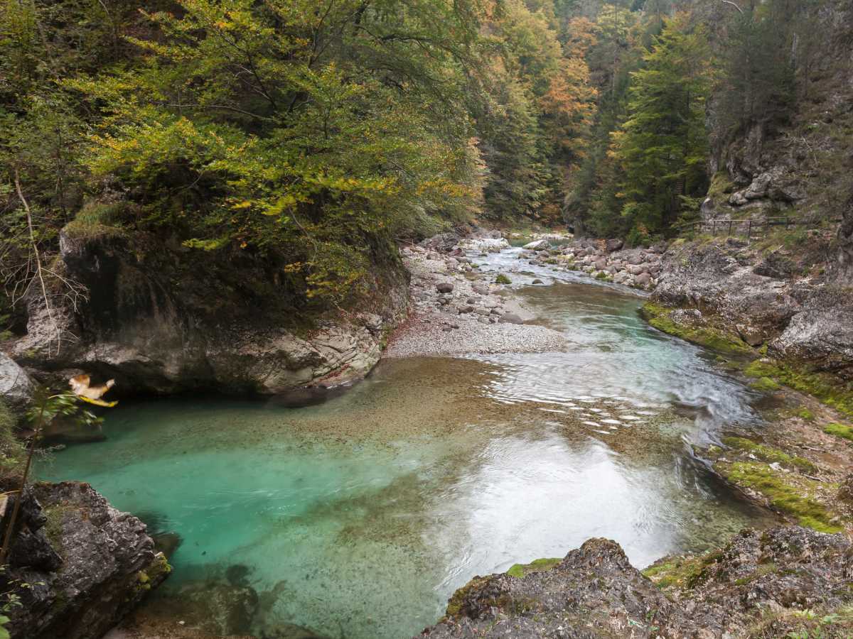 Il limpido fiume Slizza
