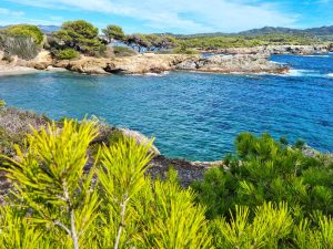 Isola di Embiez, Francia