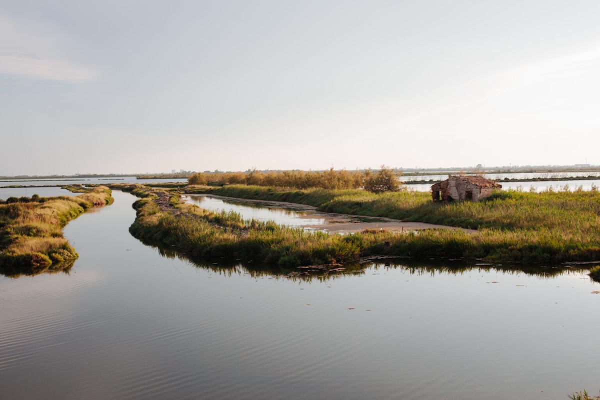 Rosolina-delta