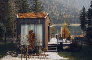 doremire-bosco-autunno-foliage-Skyview Chalets - Foto EMMDSIGN
