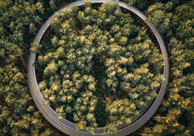 bici-fiandre-Toerisme Vlaanderen - Bosland - Fietsen door de bomen - Bjorn Snelders - 7 (1)
