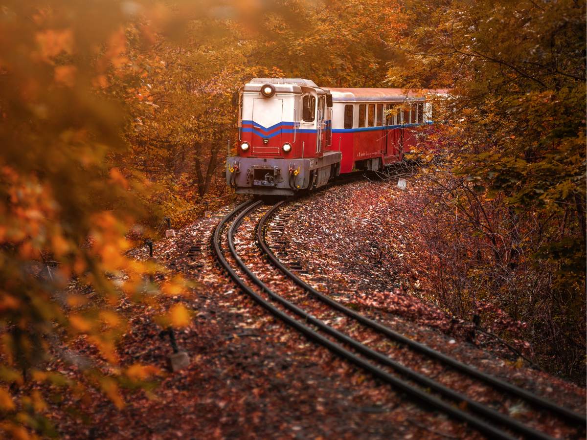Treno Foliage 2026, tra Italia e Svizzera