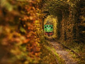 Treno Foliage nel 2026