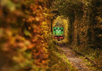 Treno Foliage nel 2026