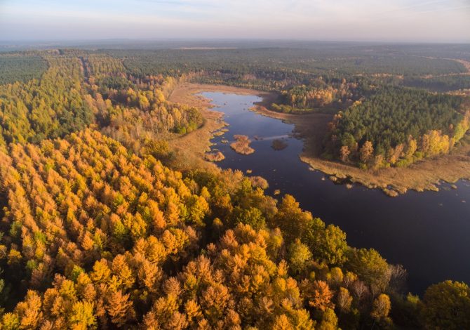 foliage-germania-Wildecker Teiche Herbst © Lüneburger Heide