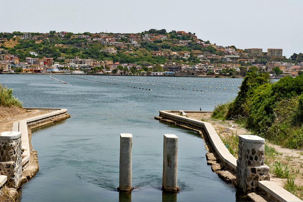 lago-fusaro-molo