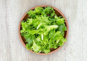 Lattuga Ciclospora
