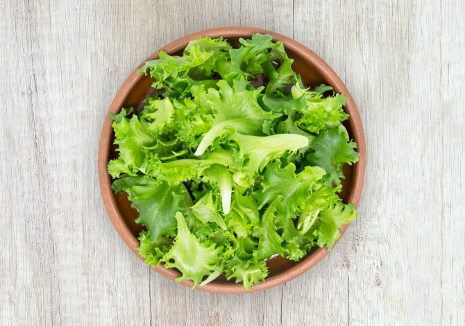 Lattuga Ciclospora