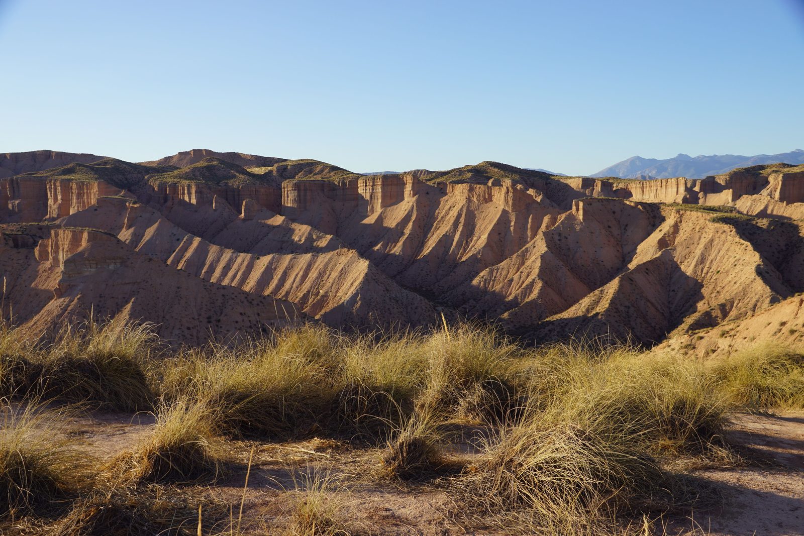 Paesaggio di badlands andaluse vicino a Guadix con canyon di terra rossa e pinnacoli erosi Paesaggio di badlands andaluse vicino a Guadix con canyon di terra rossa e pinnacoli erosi