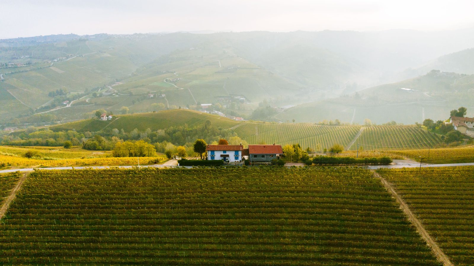 Paesaggio collinare dell'Alta Langa in autunno con vigneti e boschi colorati Paesaggio collinare dell'Alta Langa in autunno con vigneti e boschi colorati
