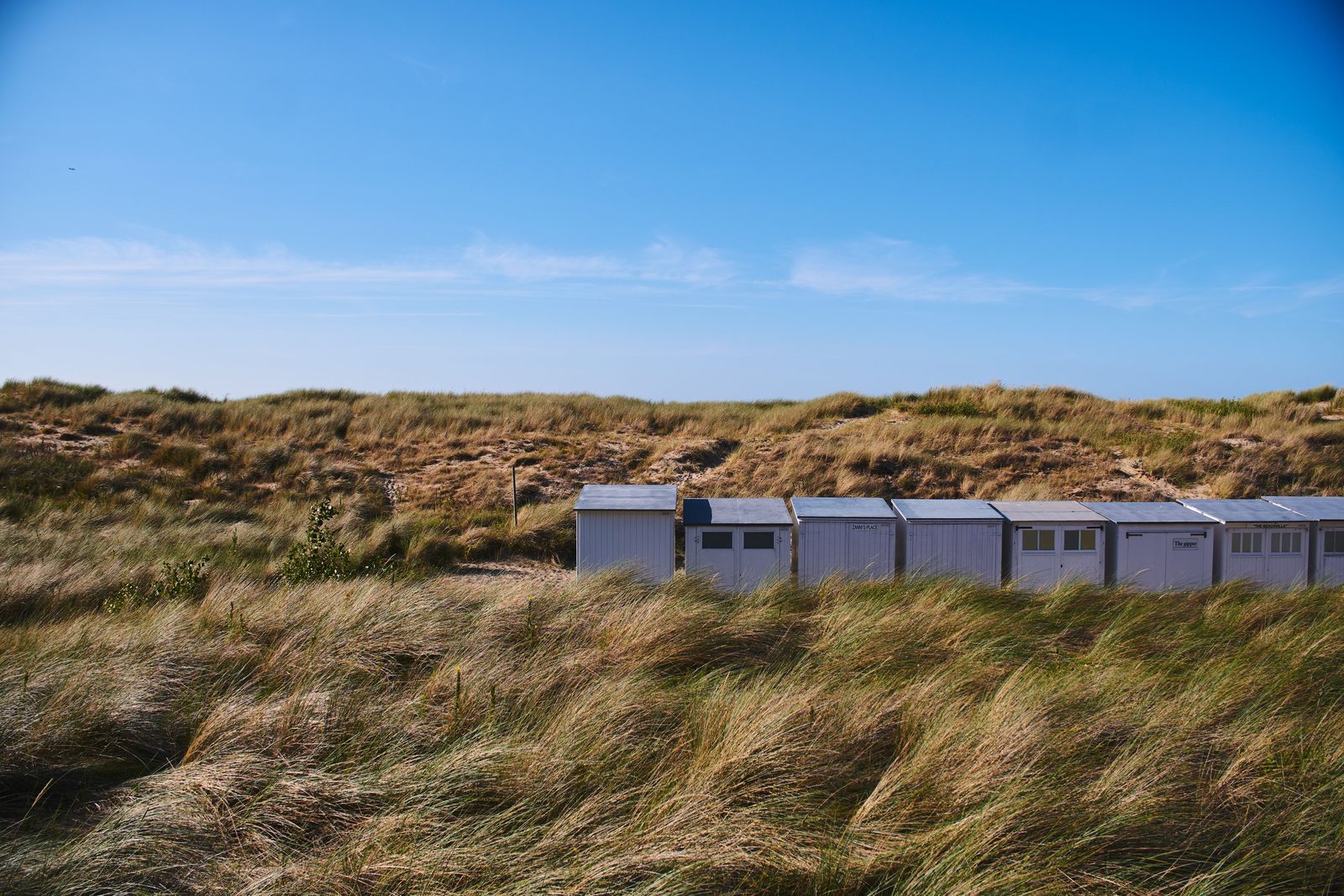 Dune costiere fiamminghe in autunno con mare grigio sullo sfondo