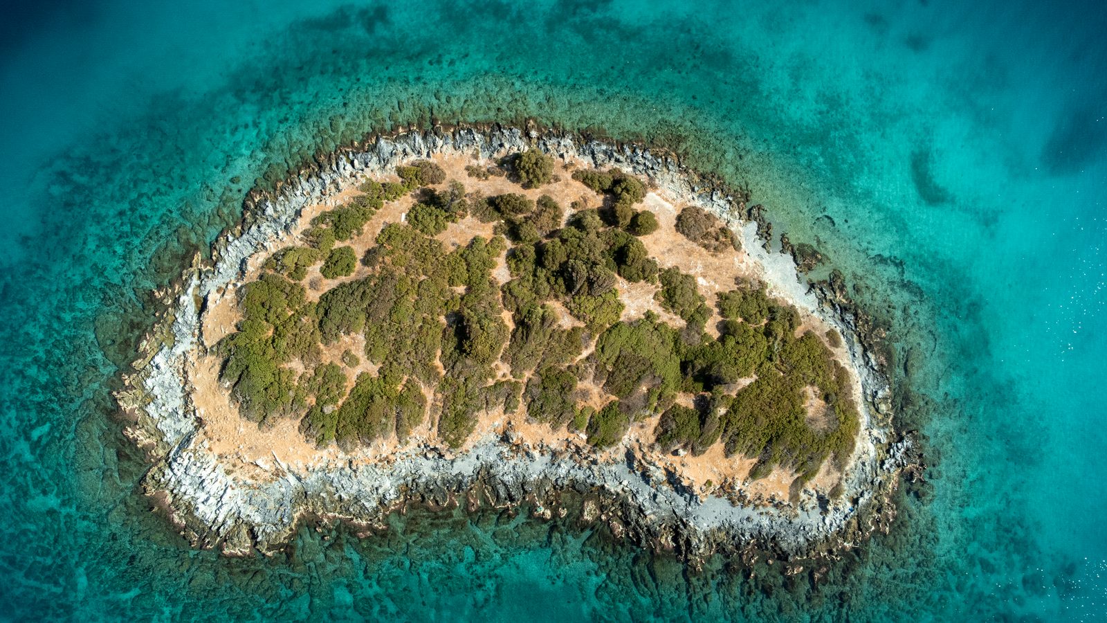 Veduta aerea di una piccola isola rocciosa mediterranea circondata da mare turchese, senza costruzioni Veduta aerea di una piccola isola rocciosa mediterranea circondata da mare turchese, senza costruzioni