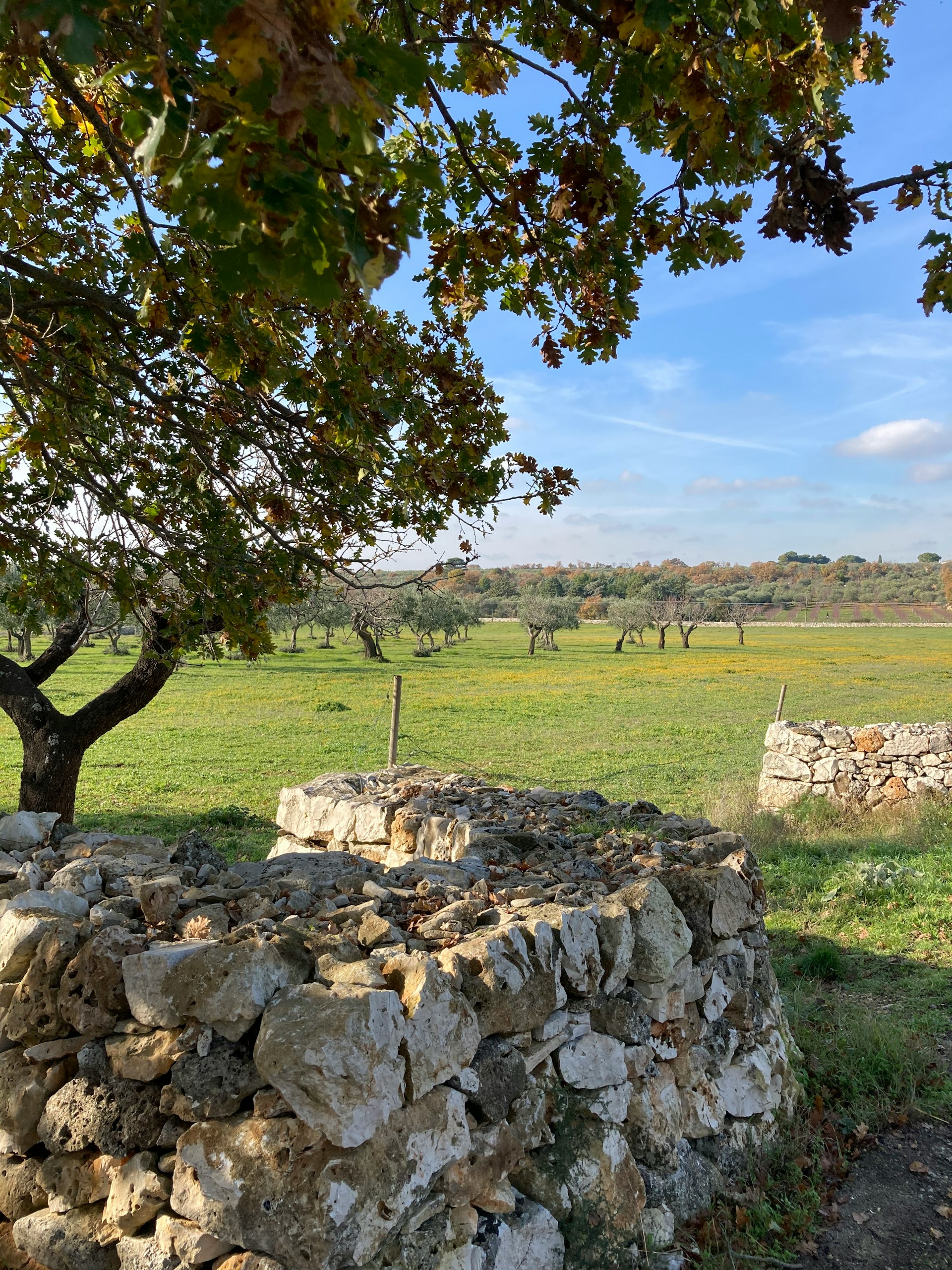 Alberobello