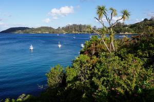 stewart-island-nuova-zelanda