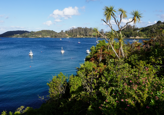 stewart-island-nuova-zelanda