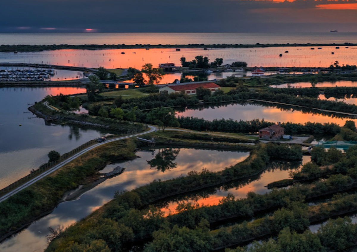 veneto-delta-po-rosolina
