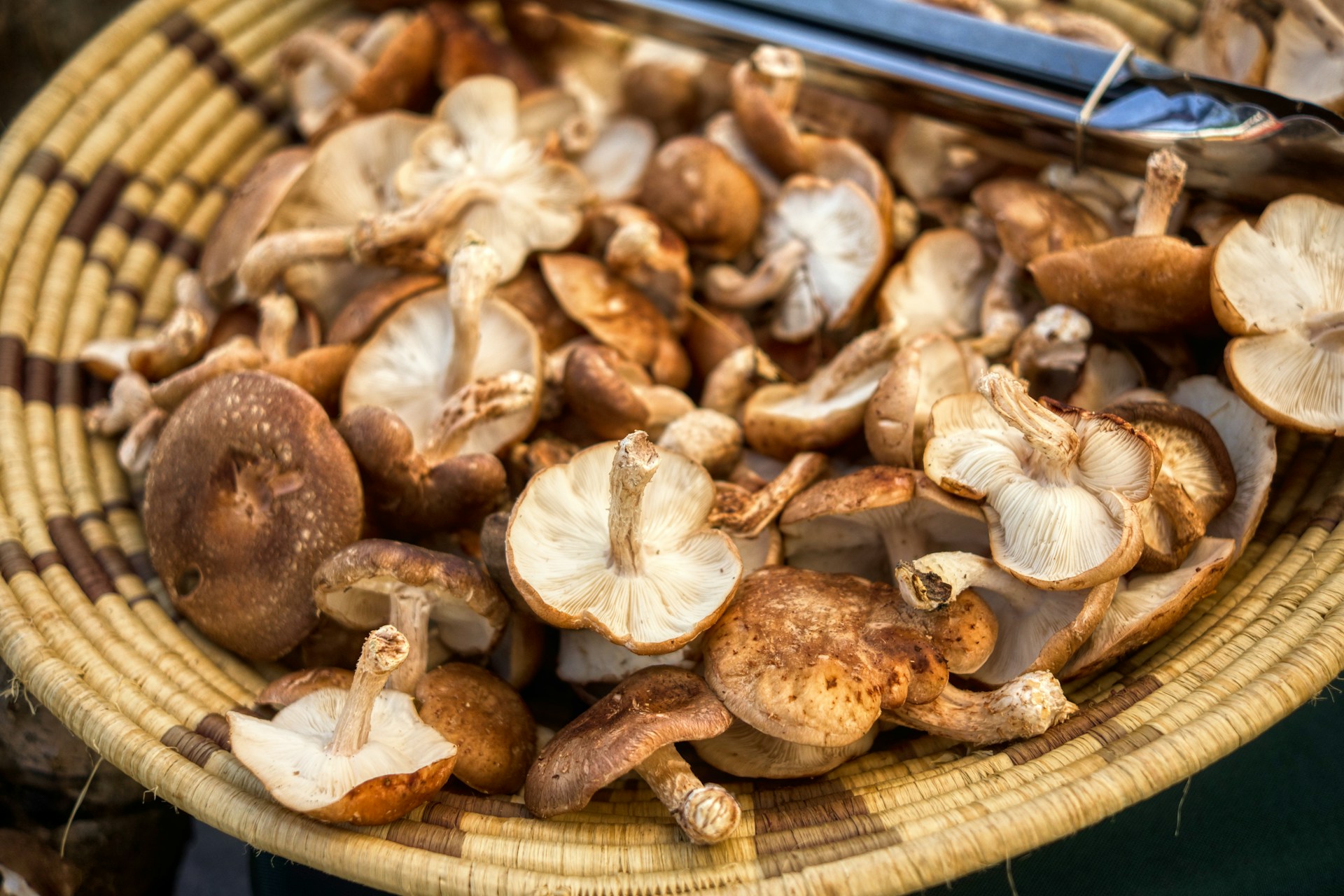 I funghi sono molto più di un contorno