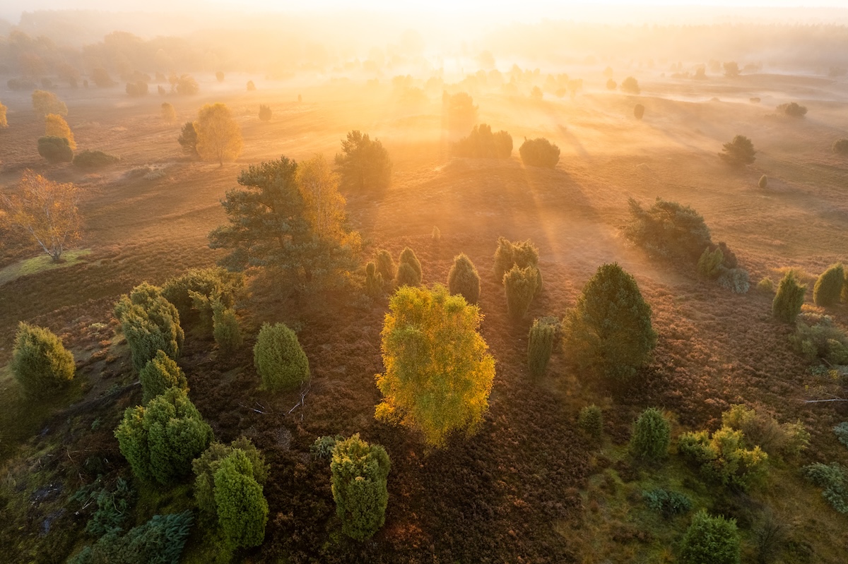 autunno-germania-fliage- Egestorf Sudermuehler Heide-21